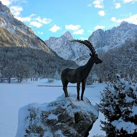 Apartma Potocnik Апартаменты *